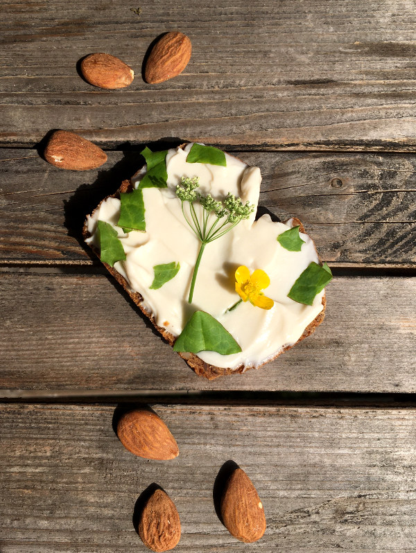 Veganer Frischkäse (Frischecreme)